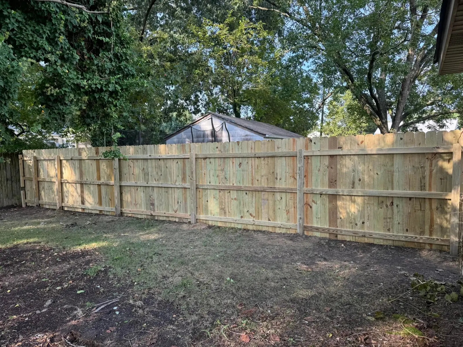 New wood fence with vertical boards, posts, and rails beneath mature trees